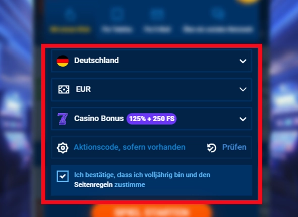 Ausfüllen der Daten für die Registrierung